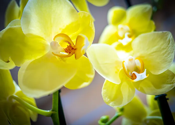 San MarcoHotel Napoli